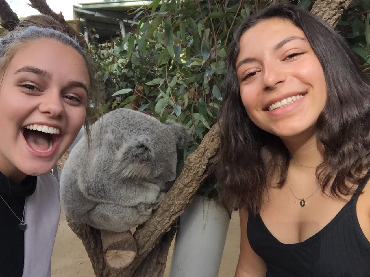 copy of anne gueldry and katelyn mcconville photo 10